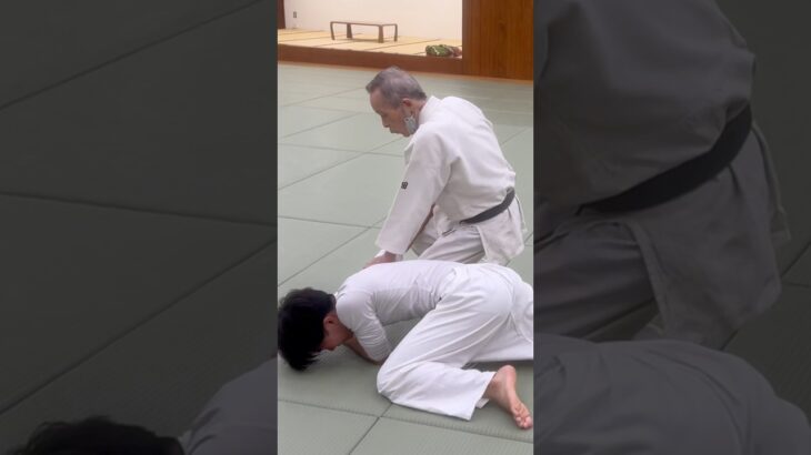 一教Ikkyo #aikido #合気道 #budo #武道 #武術 #aikidotechniques #japanesemartialarts #martialarts #combatsport