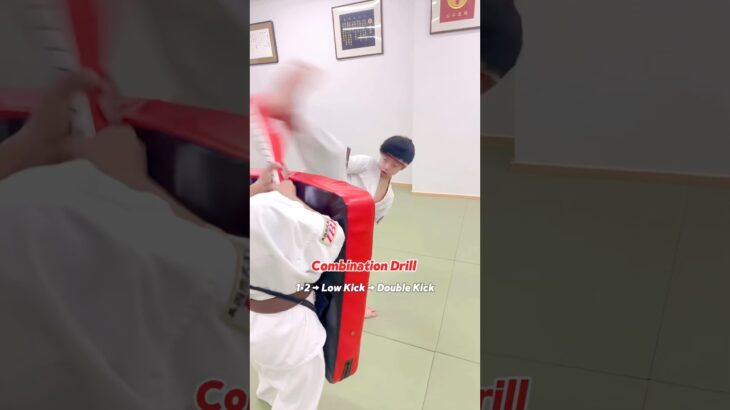 Karate Combination Drill #大谷道場 #空手 #fullcontactkarate #kyokushin #karate #martialarts #shorts