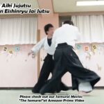 Meishinryu Aikido techniques 明真流　合気道の稽古 #aikido #合気道 #天照会　2024 1205 01