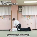 Meishinryu Aikido techniques 明真流　合気道の稽古 #aikido #合気道 #天照会　2024 1210 01