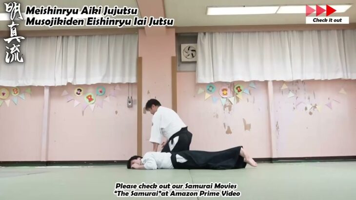 Meishinryu Aikido techniques 明真流　合気道の稽古 #aikido #合気道 #天照会　2024 1210 01