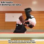 Meishinryu Aikido techniques 明真流　合気道の稽古 #aikido #合気道 #天照会 2024 1213 01