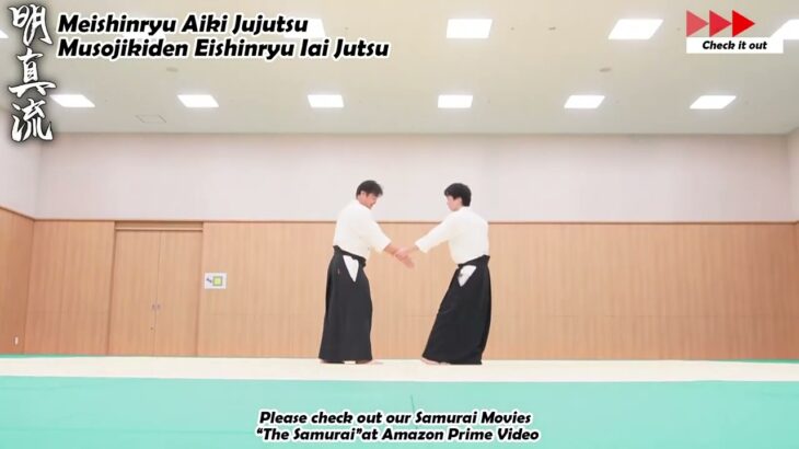 Meishinryu Aikido techniques 明真流　合気道の稽古 #aikido #合気道 #天照会 2024 1214 01