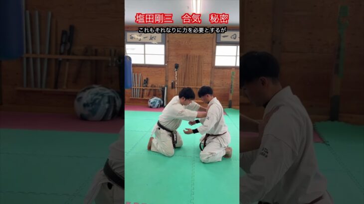 【武道・武術】合気道の達人　塩田剛三の合気　やり方　解説！！　#aikido ＃karate #martial #武道 ＃#空手＃合気道＃筋トレ#selfdefens