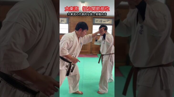 【武道・武術】合気道や大東流合気柔術の立ち関節で狙う関節　解説！！　#aikido ＃karate #martial #武道 ＃#空手＃合気道＃筋トレ#selfdefens