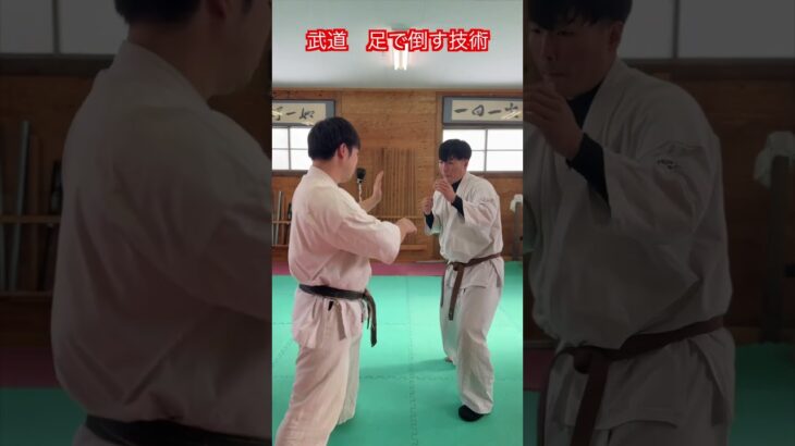 【武道・武術】脚で倒す技術　解説！！　#aikido ＃karate #martial #武道 ＃#空手＃合気道＃筋トレ#selfdefens