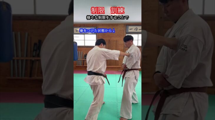 【武道・武術】制限をかけた突きを練習することで強くなる！？　#aikido ＃karate #martial #武道 ＃#空手＃合気道＃筋トレ#selfdefens