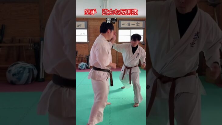 【武道・武術】空手では反則技だが効果的な技　解説！！　#aikido ＃karate #martial #武道 ＃#空手＃合気道＃筋トレ#selfdefens