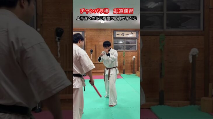 【武道・武術】チャンバラ棒でできる簡単だけど強くなれる練習方法！！　#aikido ＃karate #martial #武道 ＃#空手＃合気道＃筋トレ#selfdefens