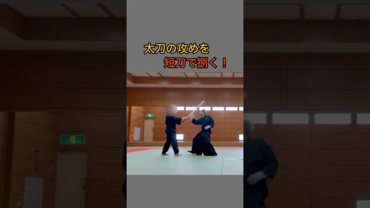 太刀の攻めを短刀で捌く！詳しくは名古屋古武術研究会へ(https://kobujutu.fc2.net) #shorts