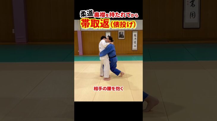 【奥襟対策３】俵投げ（帯取返）で投げる！　#柔道 #judo #投技 #立技 #相四つ #奥襟 #帯取返 #Obitori-gaeshi #俵投げ #shorts