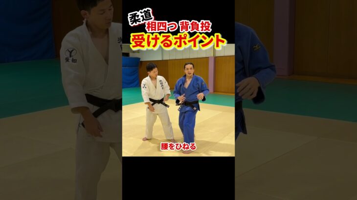 【柔道の基本技術】相四つでの受け方をマスターしよう！！　#柔道 #judo #投技 #立技 #受け #受け方 #背負投 #shorts