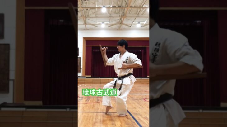 琉球古武道トンファー #琉球空手 #karate #琉球古武術 #琉球古武道 #沖縄空手 #martialarts #伝統空手 #防具空手