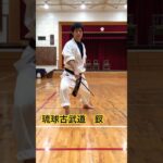 琉球古武道釵 #琉球空手 #karate #琉球古武術 #琉球古武道 #沖縄空手 #martialarts #伝統空手