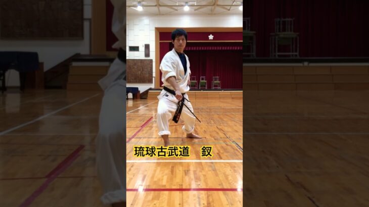 琉球古武道釵 #琉球空手 #karate #琉球古武術 #琉球古武道 #沖縄空手 #martialarts #伝統空手