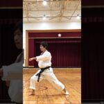 琉球空手道型アーナンクー #琉球空手 #karate #琉球古武術 #琉球古武道 #沖縄空手 #martialarts #伝統空手