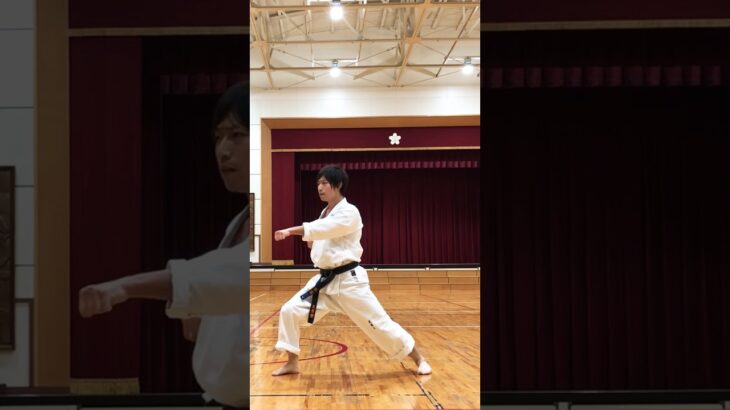 琉球空手道型アーナンクー #琉球空手 #karate #琉球古武術 #琉球古武道 #沖縄空手 #martialarts #伝統空手