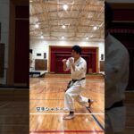 空手シャドー🥋 #琉球空手 #karate #琉球古武術 #琉球古武道 #沖縄空手 #martialarts #伝統空手 #防具空手 #kata