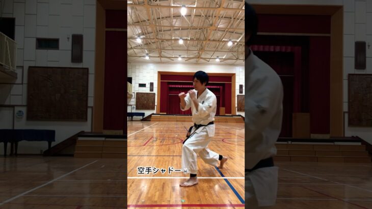 空手シャドー🥋 #琉球空手 #karate #琉球古武術 #琉球古武道 #沖縄空手 #martialarts #伝統空手 #防具空手 #kata