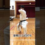 琉球空手道猿臂打ち #琉球空手 #琉球古武術 #karate #琉球古武道 #沖縄空手 #martialarts #伝統空手 #防具空手 #kata