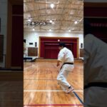 空手シャドー🥋 #琉球空手 #karate #琉球古武術 #琉球古武道 #沖縄空手 #martialarts #沖縄古武道 #kata