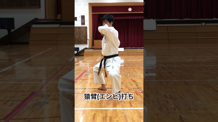 琉球空手道猿臂打ち #琉球空手 #琉球古武術 #karate #琉球古武道 #沖縄空手 #martialarts #伝統空手 #防具空手 #kata