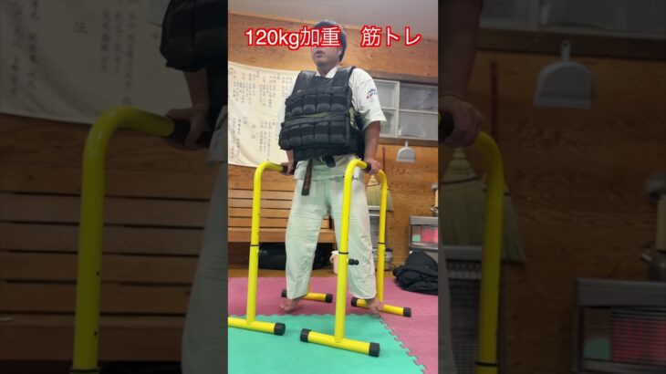 【武道・筋トレ】120kg加重で色々な筋トレ　紹介！！　#aikido ＃karate #martial #武道 ＃#空手＃合気道＃筋トレ#selfdefens