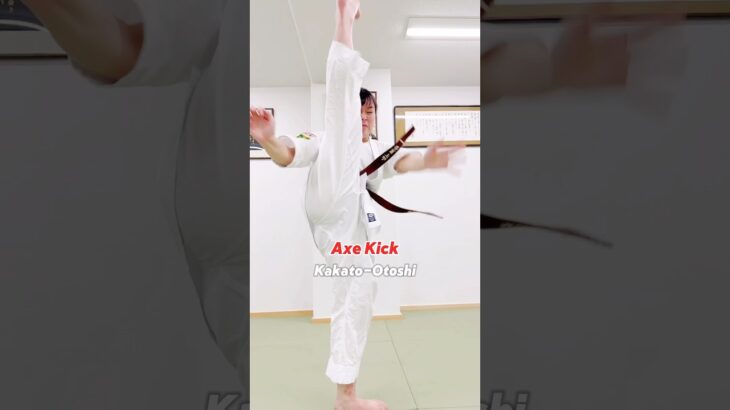 踵落とし / Axe Kick #大谷道場 #空手 #fullcontactkarate #kyokushin #karate #karategirl #martialarts #shorts