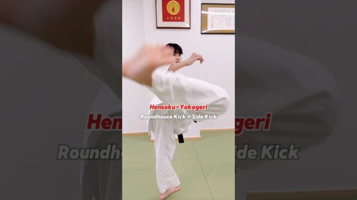 変則横蹴り- Hensoku-Yokogeri / Roundhouse Kick + Side Kick #大谷道場  #空手 #kyokushin #karate #shorts