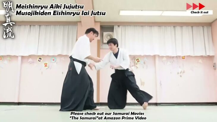 Meishinryu Aikido techniques 明真流　合気道の稽古 #aikido #合気道 #天照会　2025 0130 01