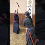 峰落 Mine-Otoshi #bushi #martialarts #古武術 #古武道 #karate #samurai #武道 #sword