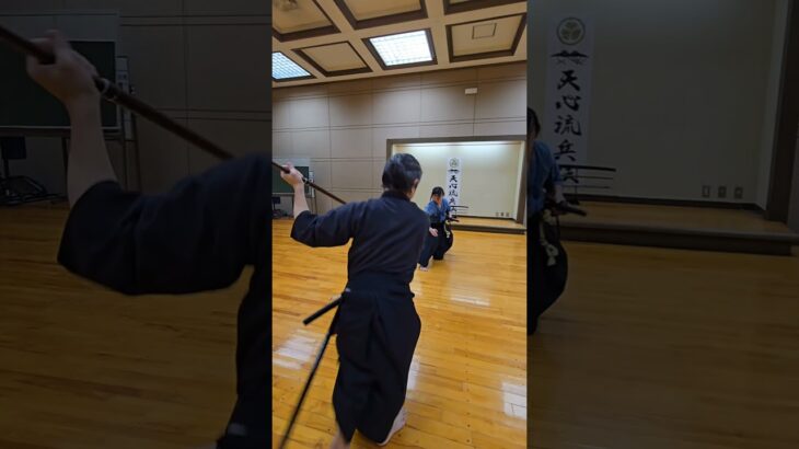 浪返 Nami-Gaeshi #bushi #武道 #martialarts #kenjutsu #samurai #古武術 #sword