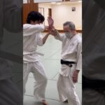 ニ教Nikkyo#合気道 #aikido #budo #bushido #武道 #武術 #aikidolife #martialarts #judo #japaneseculture