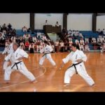 Ryukonkai Kobudo  – Nicho Sai 2010 琉球 古武道 琉棍会・二丁サイ