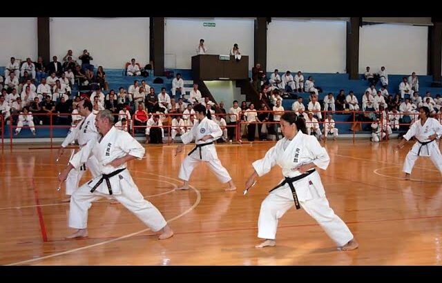 Ryukonkai Kobudo  – Nicho Sai 2010 琉球 古武道 琉棍会・二丁サイ