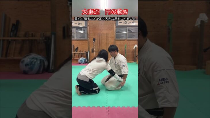 【武道・武術】大東流にある合気道とはまた違う円の動き　解説！！　#aikido ＃karate #martial #武道 ＃#空手＃合気道＃筋トレ#selfdefens