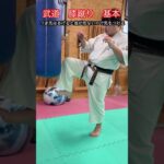 【武道・武術】膝蹴りの基本の考え方と打ち方　解説！！　#aikido ＃karate #martial #武道 ＃#空手＃合気道＃筋トレ#selfdefens