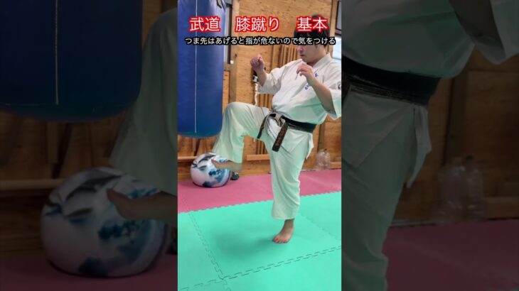 【武道・武術】膝蹴りの基本の考え方と打ち方　解説！！　#aikido ＃karate #martial #武道 ＃#空手＃合気道＃筋トレ#selfdefens