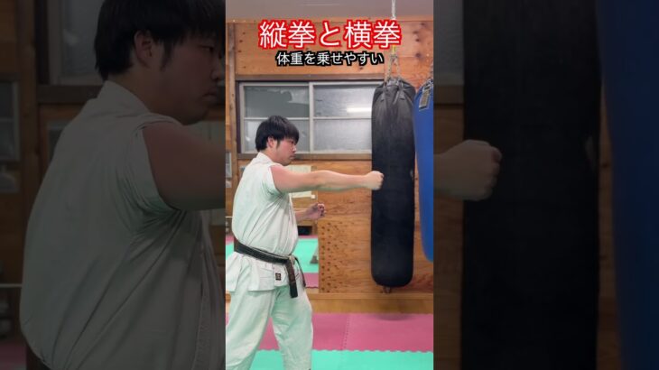 【武道・武術】突きには横拳と縦拳がある　解説！！　#aikido ＃karate #martial #武道 ＃#空手＃合気道＃筋トレ#selfdefens