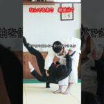 【武道・武術】武器の使用以外なんでもありなら最強はなんなのか　考察！！　#aikido ＃karate #martial #武道 ＃#空手＃合気道＃筋トレ#selfdefens