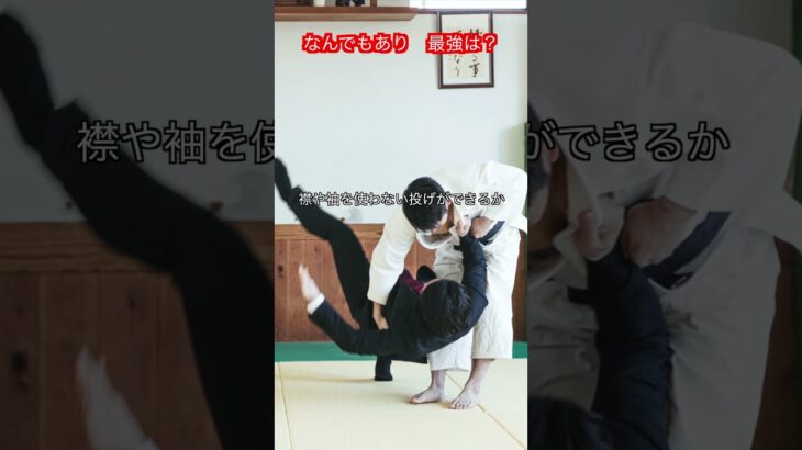 【武道・武術】武器の使用以外なんでもありなら最強はなんなのか　考察！！　#aikido ＃karate #martial #武道 ＃#空手＃合気道＃筋トレ#selfdefens