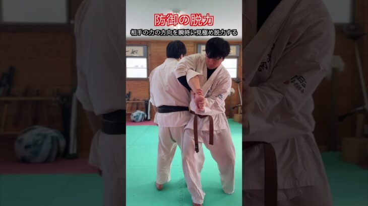 【武道・武術】攻撃で重要視される脱力　実は防御でもとても重要！！　#aikido ＃karate #martial #武道 ＃#空手＃合気道＃筋トレ#selfdefens