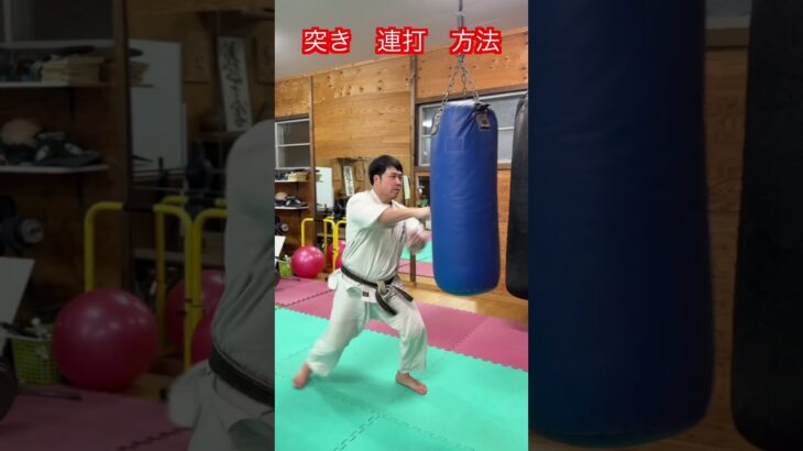 【武道・格闘技】連打を上手くやるための方法　解説！！　#aikido ＃karate #martial #武道 ＃#空手＃合気道＃筋トレ#selfdefens