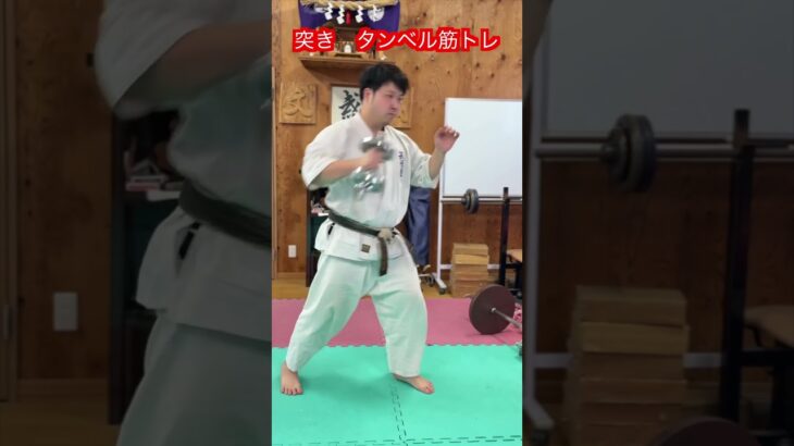 【武道・武術】重たいダンベルで突きを強くしようとするのは間違い！？　解説！！　#aikido ＃karate #martial #武道 ＃#空手＃合気道＃筋トレ#selfdefens