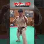 【武術・格闘技】シャドーをやる目的　解説！！　#aikido ＃karate #martial #武道 ＃#空手＃合気道＃筋トレ#selfdefens