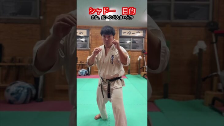 【武術・格闘技】シャドーをやる目的　解説！！　#aikido ＃karate #martial #武道 ＃#空手＃合気道＃筋トレ#selfdefens