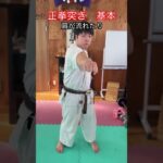 【武道・空手】正拳突きの基本の考え方とやり方　解説！！　#aikido ＃karate #martial #武道 ＃#空手＃合気道＃筋トレ#selfdefens