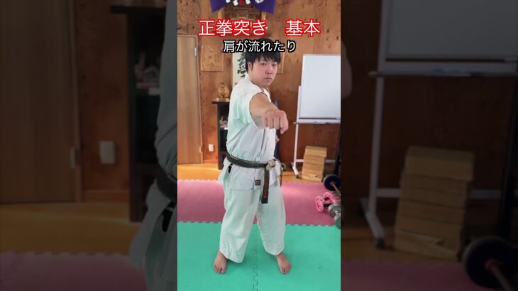 【武道・空手】正拳突きの基本の考え方とやり方　解説！！　#aikido ＃karate #martial #武道 ＃#空手＃合気道＃筋トレ#selfdefens