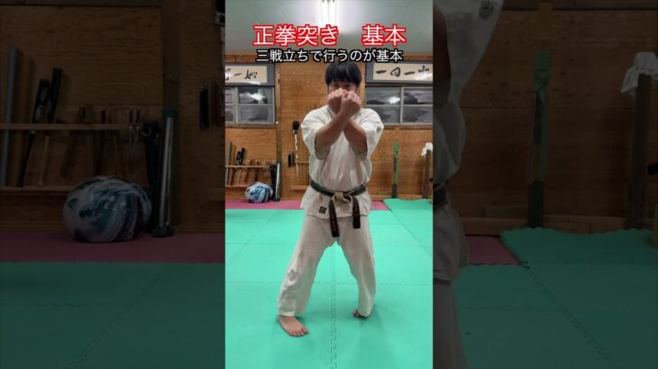 【武道・空手】正拳突きの基本の考え方とやり方　解説パート２！！　#aikido ＃karate #martial #武道 ＃#空手＃合気道＃筋トレ#selfdefens