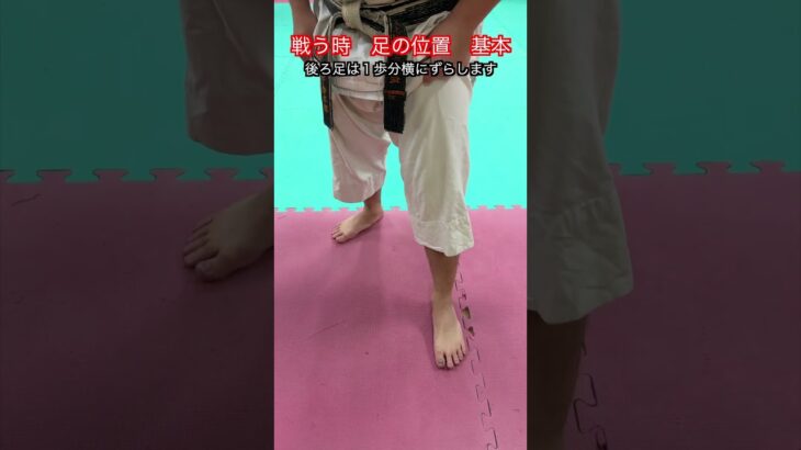 【武道・空手】戦う時の基本的な立ち方　解説！！　#aikido ＃karate #martial #武道 ＃#空手＃合気道＃筋トレ#selfdefens